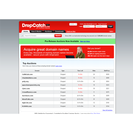 dropcatch auctions